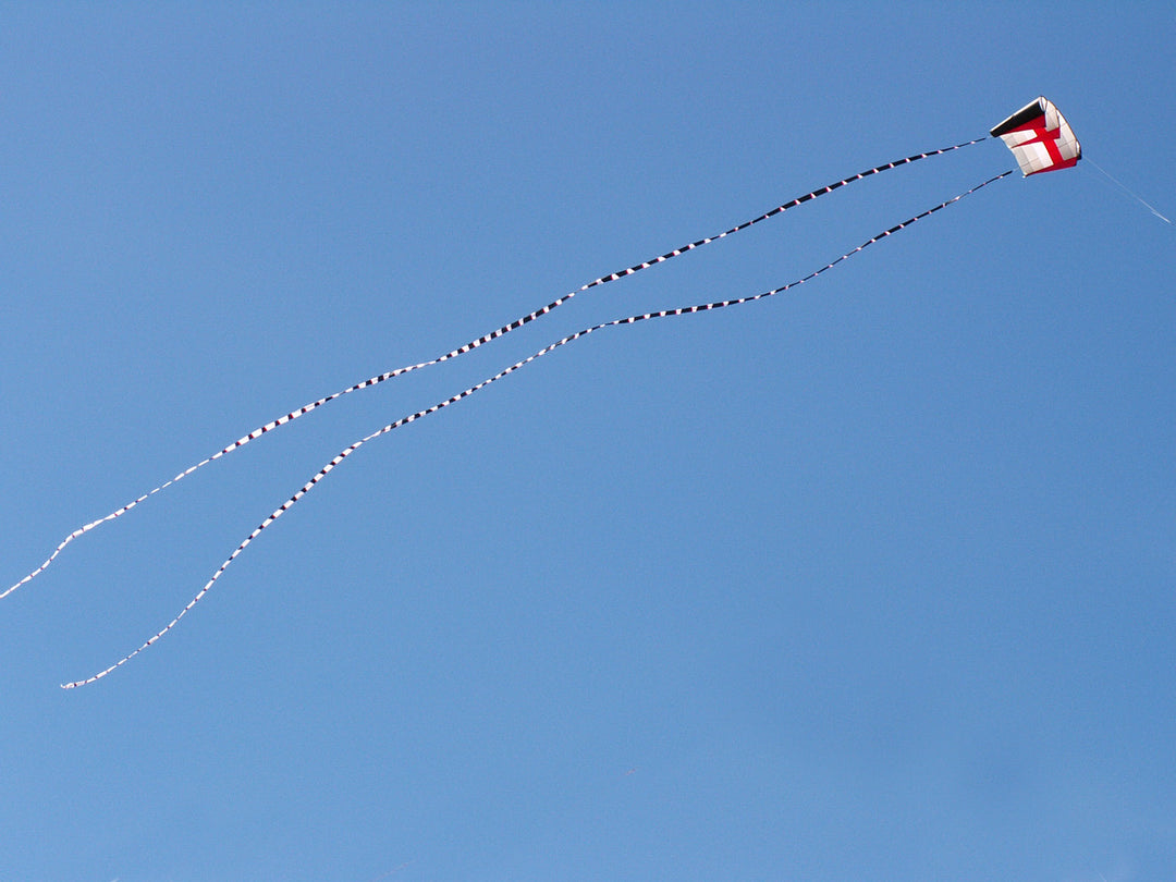 Transition Tails  - 100 ft