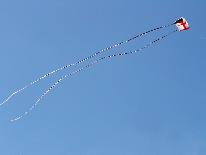 Transition Tails  - 100 ft