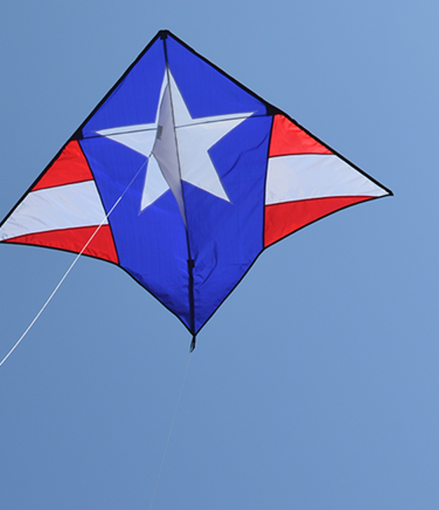Gyro Delta with Spinsock (Patriotic)