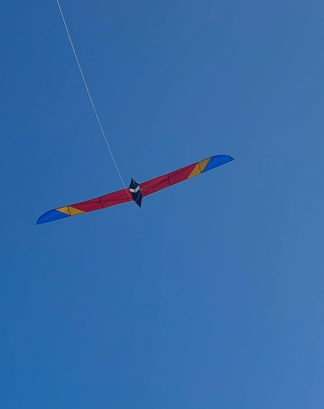 5.6M Long Bird