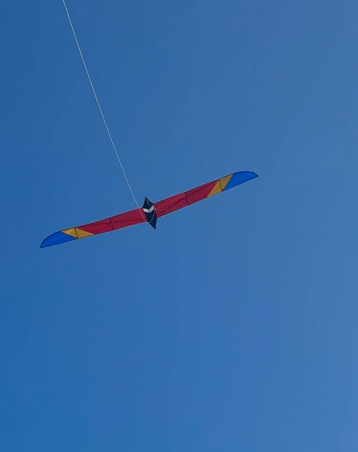 5.6M Long Bird