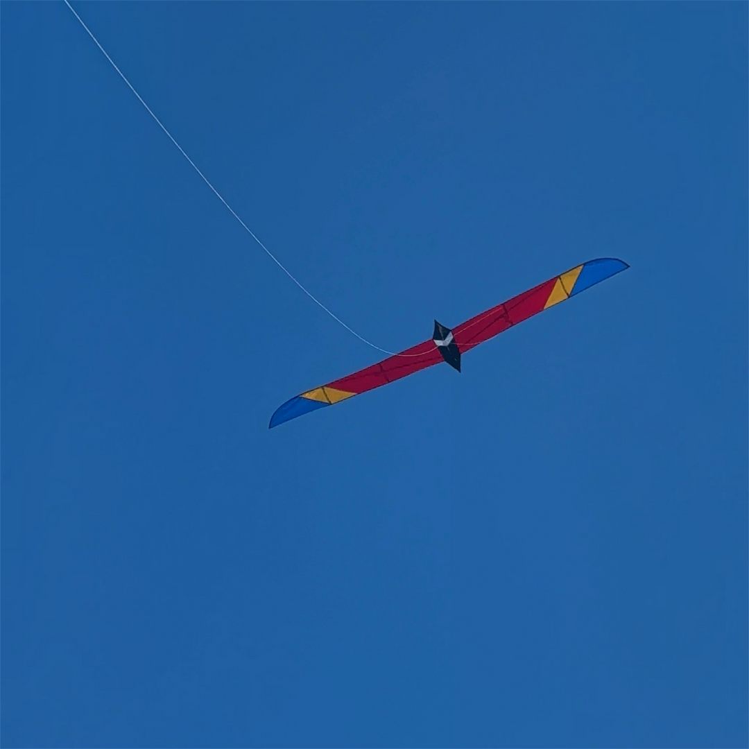 5.6M Long Bird