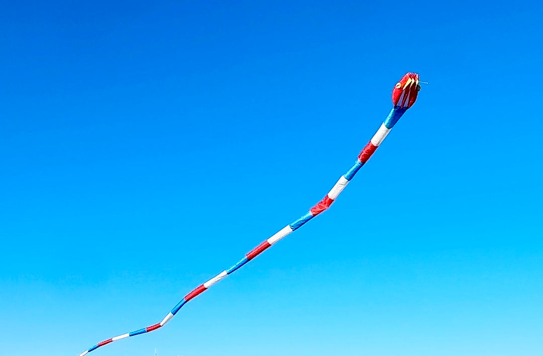 180' Inflatable Snake Kite - Red/White/Blue