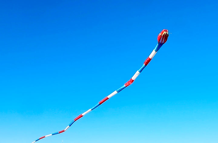 180' Inflatable Snake Kite - Red/White/Blue