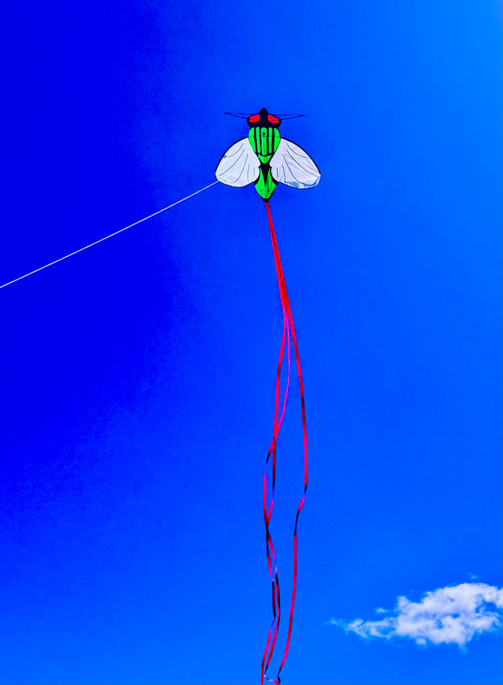Buzzing Fly Kite 35"