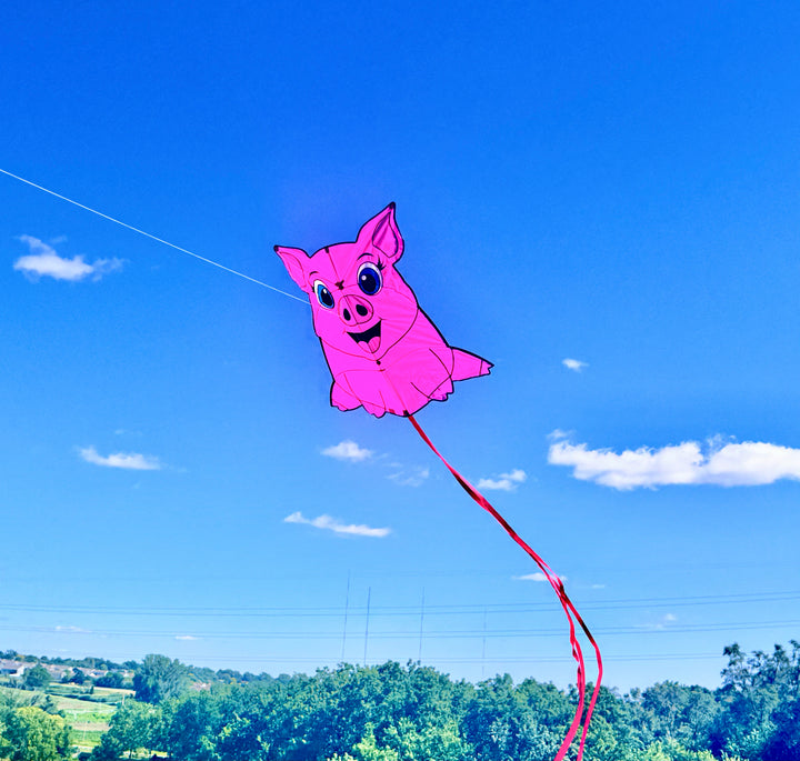 Pig Kite 35"