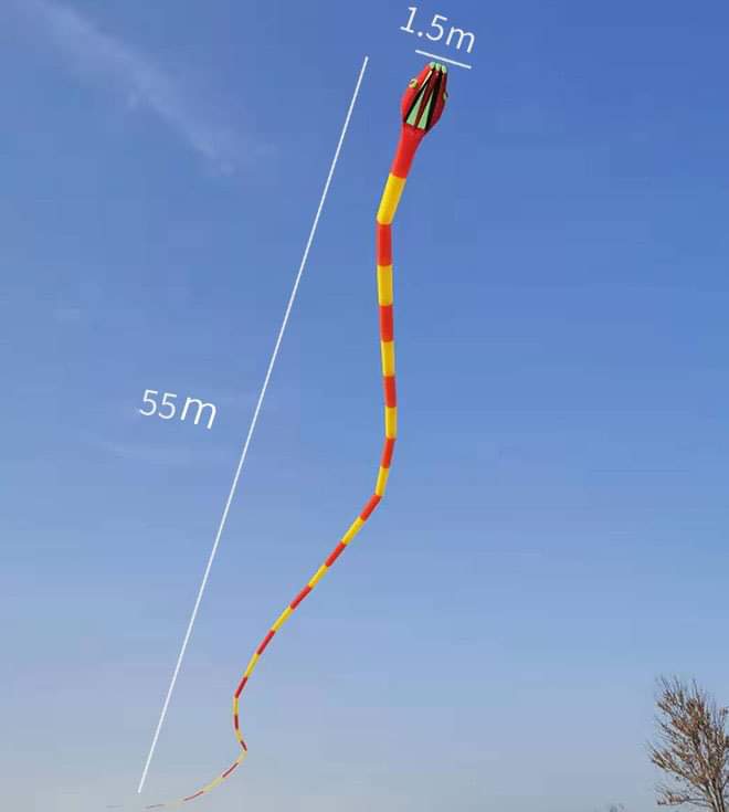 180' Inflatable Snake Kite - Black/White