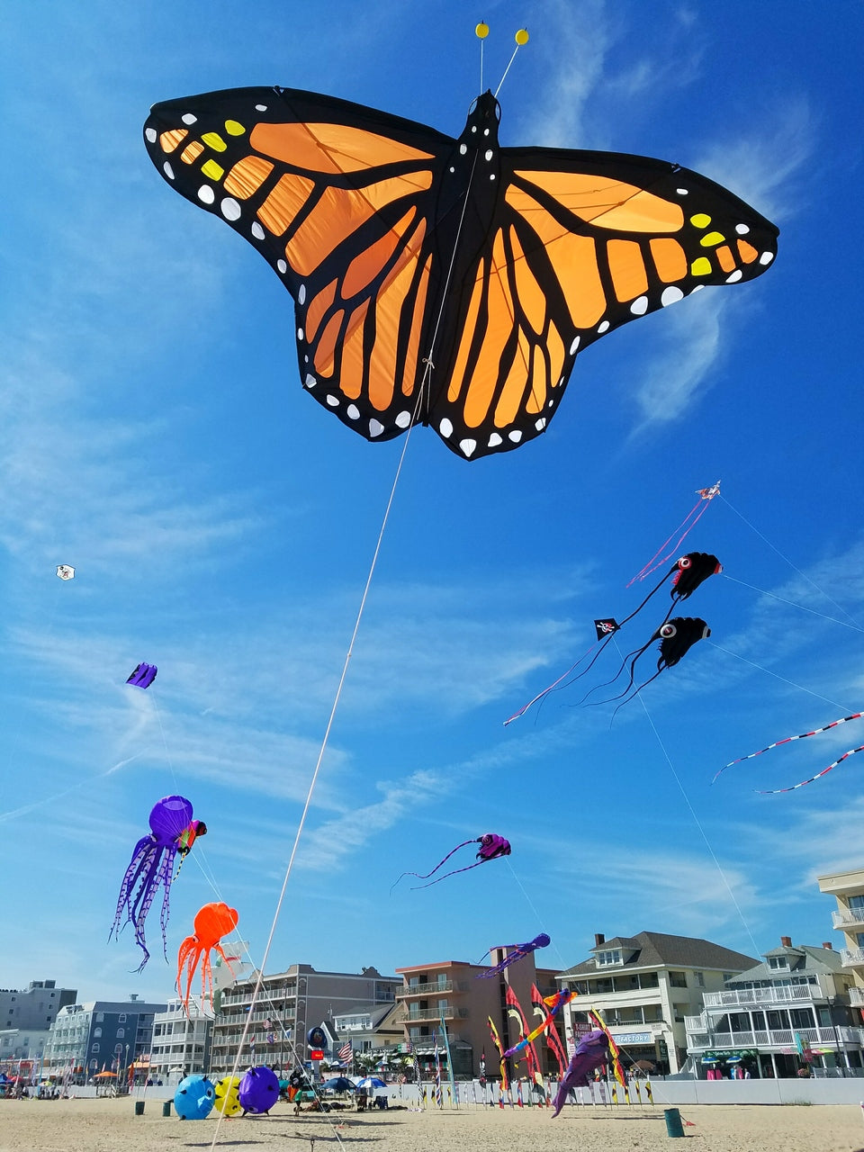 Giant 10-ft Monarch Butterfly Kite