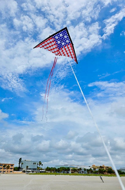 19 ft. Mesh Delta - Patriotic