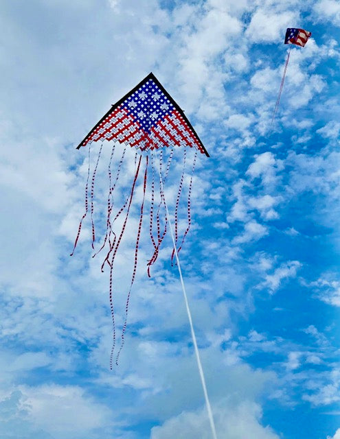 19 ft. Mesh Delta - Patriotic