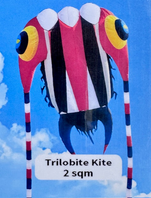 2M Trilobite Inflatable