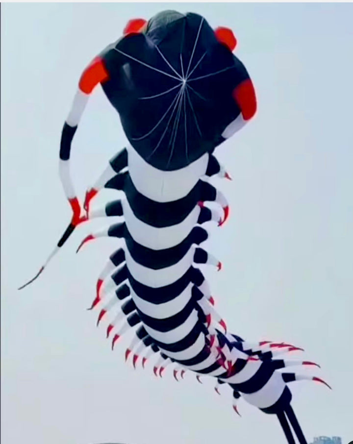 18M Inflatable Centipede