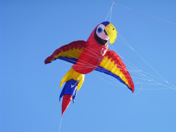 Macaw - Inflatable