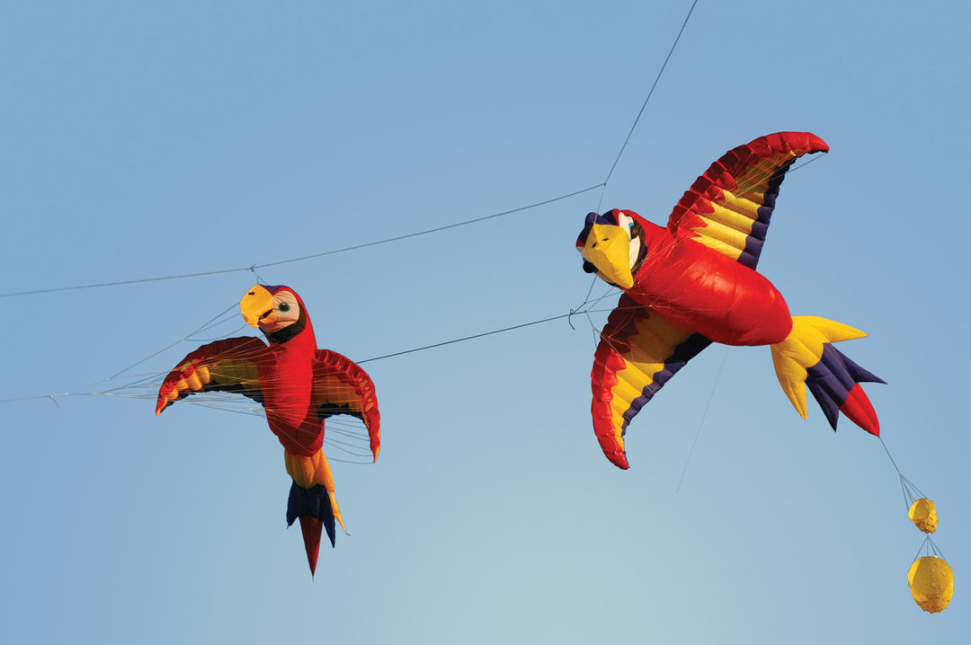 Mega Macaw