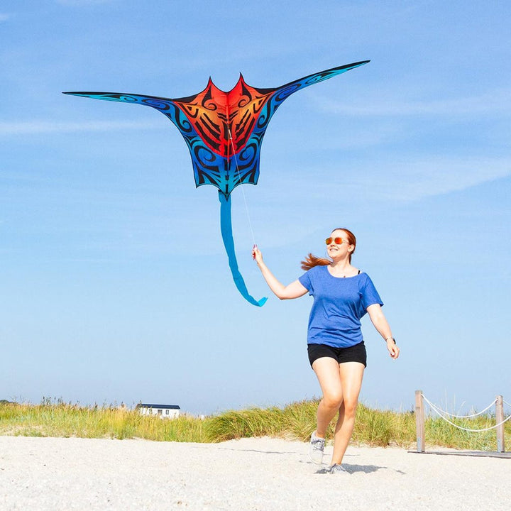 Manta Kite