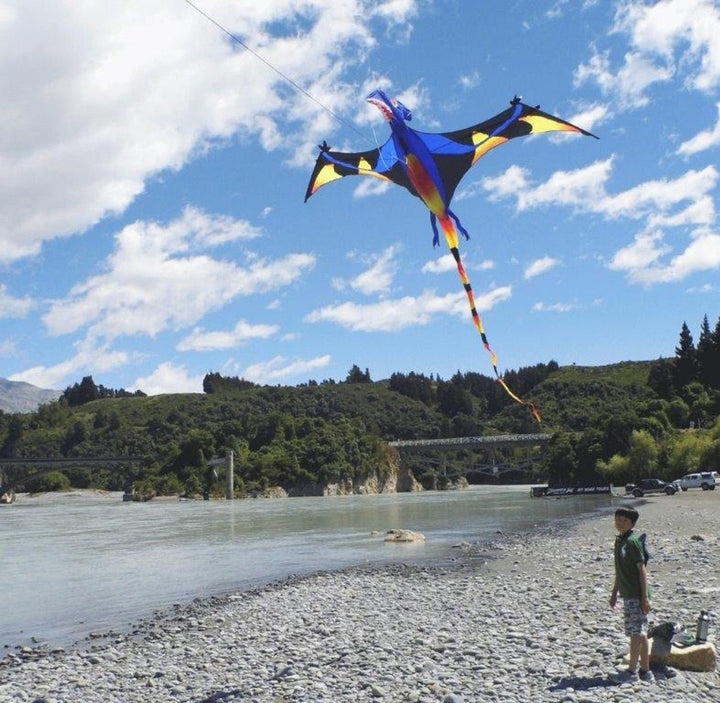 Black Wing Pterodactyl - Picture Pretty KitesBlack Wing PterodactylSingle Line Kites;Single Line Kites/Animal Kites;Single Line Kites/Animal Kites/Bird Kites;Single Line Kites/Specialty Kites;Brands/Premier KitesPR45867Picture Pretty KitesPR4586771886561Black Wing Pterodactyl