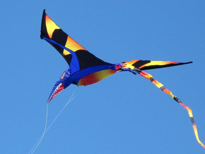 Black Wing Pterodactyl - Picture Pretty KitesBlack Wing PterodactylSingle Line Kites;Single Line Kites/Animal Kites;Single Line Kites/Animal Kites/Bird Kites;Single Line Kites/Specialty Kites;Brands/Premier KitesPR45867Picture Pretty KitesPR4586771886561Black Wing Pterodactyl