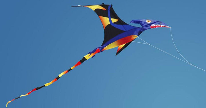 Black Wing Pterodactyl - Picture Pretty KitesBlack Wing PterodactylSingle Line Kites;Single Line Kites/Animal Kites;Single Line Kites/Animal Kites/Bird Kites;Single Line Kites/Specialty Kites;Brands/Premier KitesPR45867Picture Pretty KitesPR4586771886561Black Wing Pterodactyl