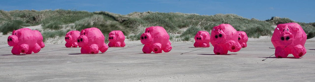 Bouncing Buddy "Porky" - Picture Pretty KitesBouncing Buddy "Porky"Kite Accessories;Kite Accessories/Kite Line Art;Brands/HQ KitesHQ126350Picture Pretty KitesHQ12635055830241Bouncing Buddy "Porky"