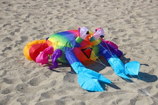 Bouncing Buddy "Billy The Crab" - Rainbow