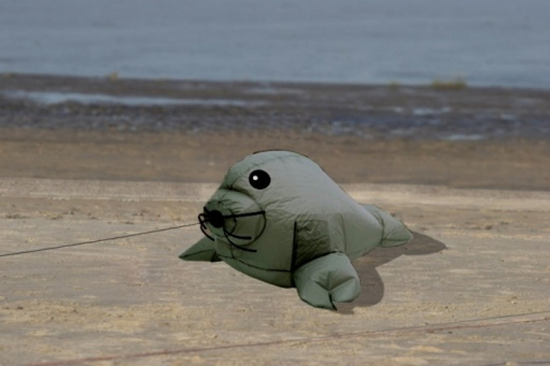Bouncing Buddy "Seal"
