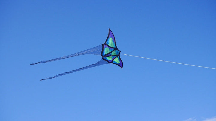 Brasington Butterfly - Picture Pretty KitesBrasington ButterflySingle Line Kites;Single Line Kites/Specialty Kites;Brands/Into The Wind;Featured Products;Featured Products/Featured ProductsITW5641Picture Pretty KitesITW564108422881Brasington Butterfly