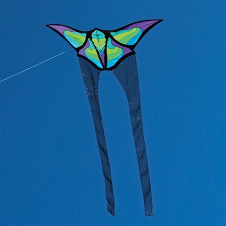 Brasington Butterfly - Picture Pretty KitesBrasington ButterflySingle Line Kites;Single Line Kites/Specialty Kites;Brands/Into The Wind;Featured Products;Featured Products/Featured ProductsITW5641Picture Pretty KitesITW564108422881Brasington Butterfly