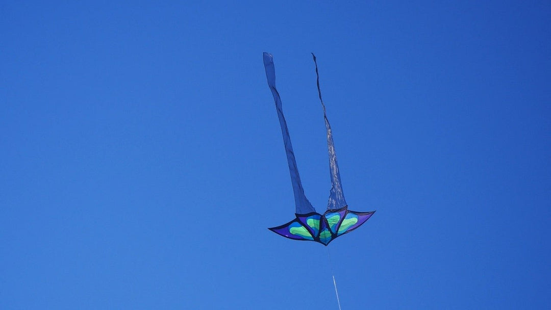 Brasington Butterfly - Picture Pretty KitesBrasington ButterflySingle Line Kites;Single Line Kites/Specialty Kites;Brands/Into The Wind;Featured Products;Featured Products/Featured ProductsITW5641Picture Pretty KitesITW564108422881Brasington Butterfly