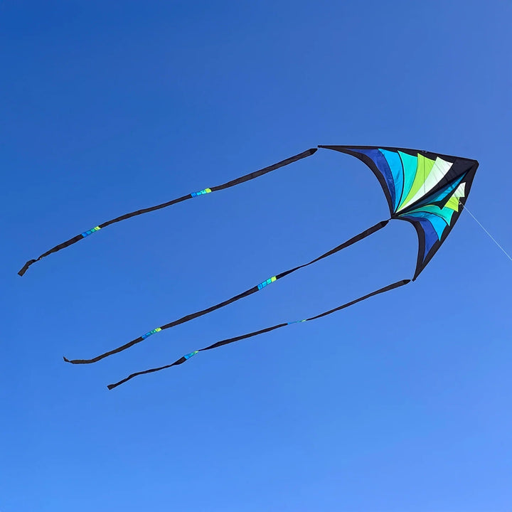 Brasington Taz Delta - Picture Pretty KitesBrasington Taz DeltaSingle Line Kites;Single Line Kites/Parafoil Kites and Sled Kites;Starter Kites;Brands/Prism KitesPicture Pretty KitesBlue/GreenBrasington Taz Delta