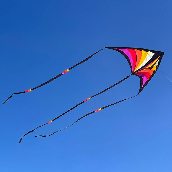 Brasington Taz Delta - Picture Pretty KitesBrasington Taz DeltaSingle Line Kites;Single Line Kites/Parafoil Kites and Sled Kites;Starter Kites;Brands/Prism KitesPicture Pretty KitesPurple/YellowBrasington Taz Delta