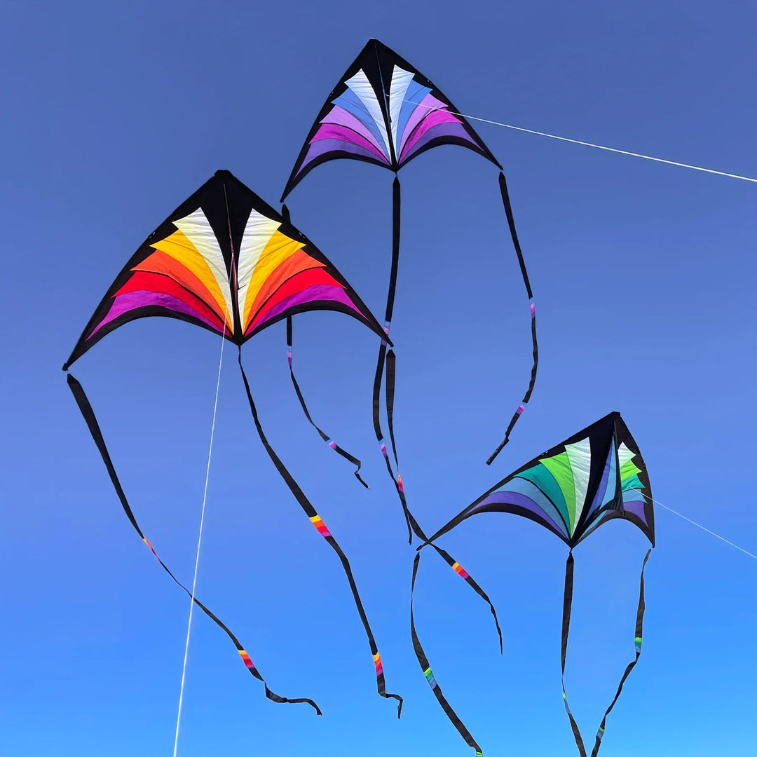 Brasington Taz Delta - Picture Pretty KitesBrasington Taz DeltaSingle Line Kites;Single Line Kites/Parafoil Kites and Sled Kites;Starter Kites;Brands/Prism KitesPicture Pretty KitesBlue/GreenBrasington Taz Delta