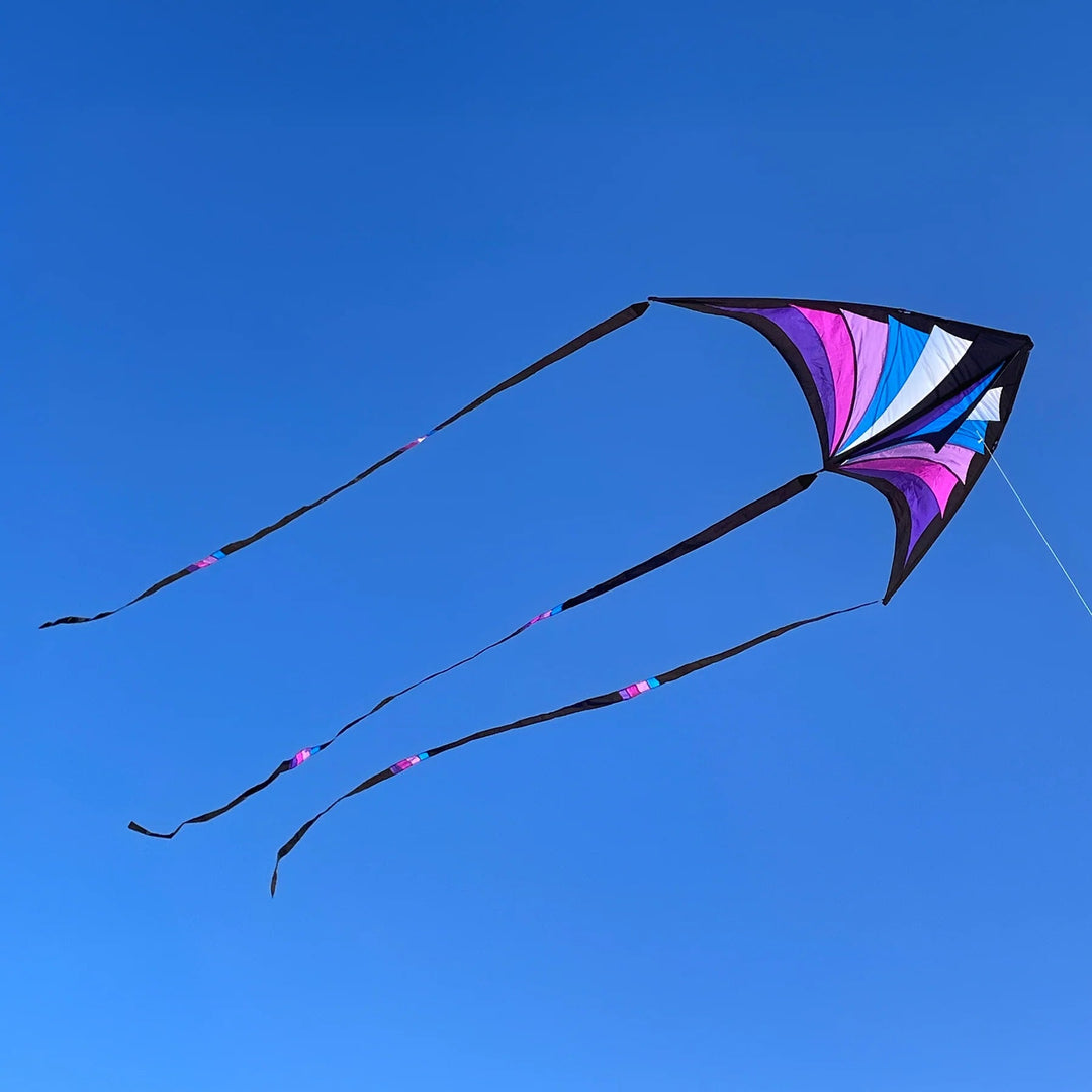 Brasington Taz Delta - Picture Pretty KitesBrasington Taz DeltaSingle Line Kites;Single Line Kites/Parafoil Kites and Sled Kites;Starter Kites;Brands/Prism KitesPicture Pretty KitesPurple/BlueBrasington Taz Delta