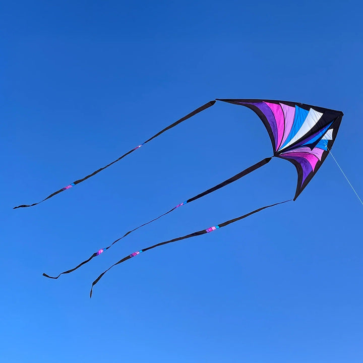 Brasington Taz Delta - Picture Pretty KitesBrasington Taz DeltaSingle Line Kites;Single Line Kites/Parafoil Kites and Sled Kites;Starter Kites;Brands/Prism KitesPicture Pretty KitesPurple/BlueBrasington Taz Delta