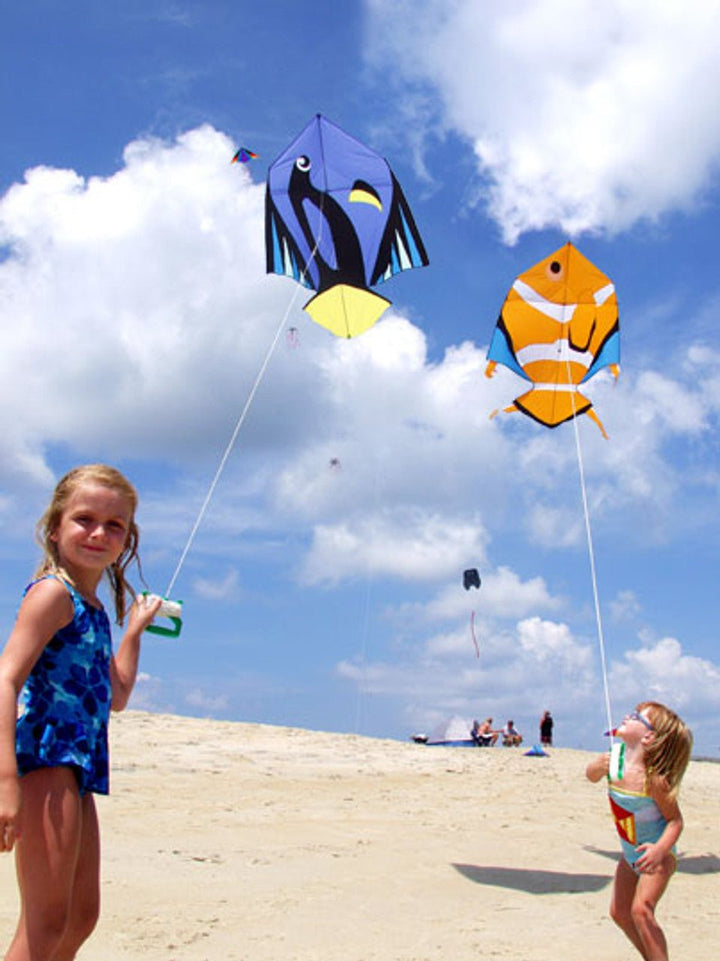 Clown Fish Kite - Picture Pretty KitesClown Fish KiteSingle Line Kites;Single Line Kites/Animal Kites;Single Line Kites/Animal Kites/Sea Life Kites;Brands/New Tech KitesNT54071 /C4Picture Pretty KitesNT54071 /C479750881Clown Fish Kite