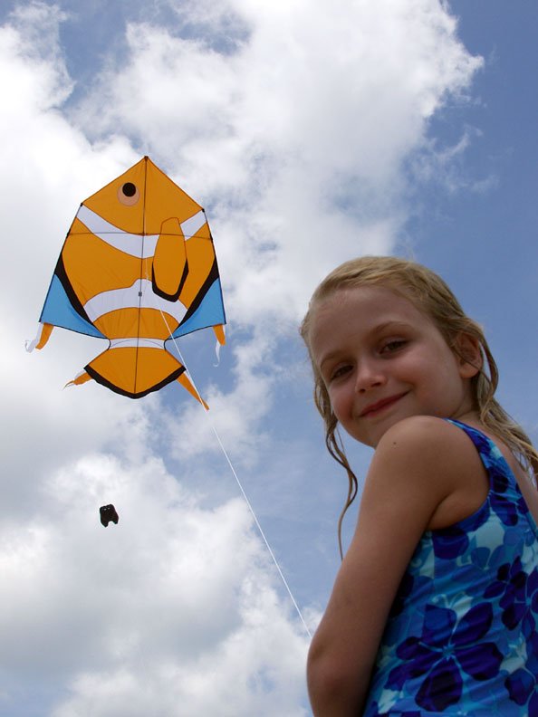 Clown Fish Kite - Picture Pretty KitesClown Fish KiteSingle Line Kites;Single Line Kites/Animal Kites;Single Line Kites/Animal Kites/Sea Life Kites;Brands/New Tech KitesNT54071 /C4Picture Pretty KitesNT54071 /C479750881Clown Fish Kite
