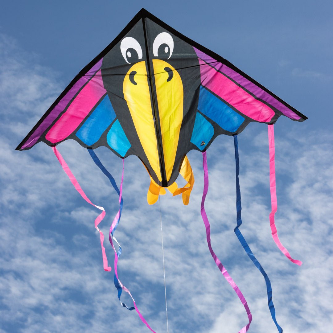 DELTA CHARLY - Picture Pretty KitesDELTA CHARLYSingle Line Kites;Single Line Kites/Delta Kites;Brands/HQ Kites;Featured Products;Featured Products/Featured ProductsHQ106123 /C33Picture Pretty KitesHQ106123 /C3383158753DELTA CHARLY