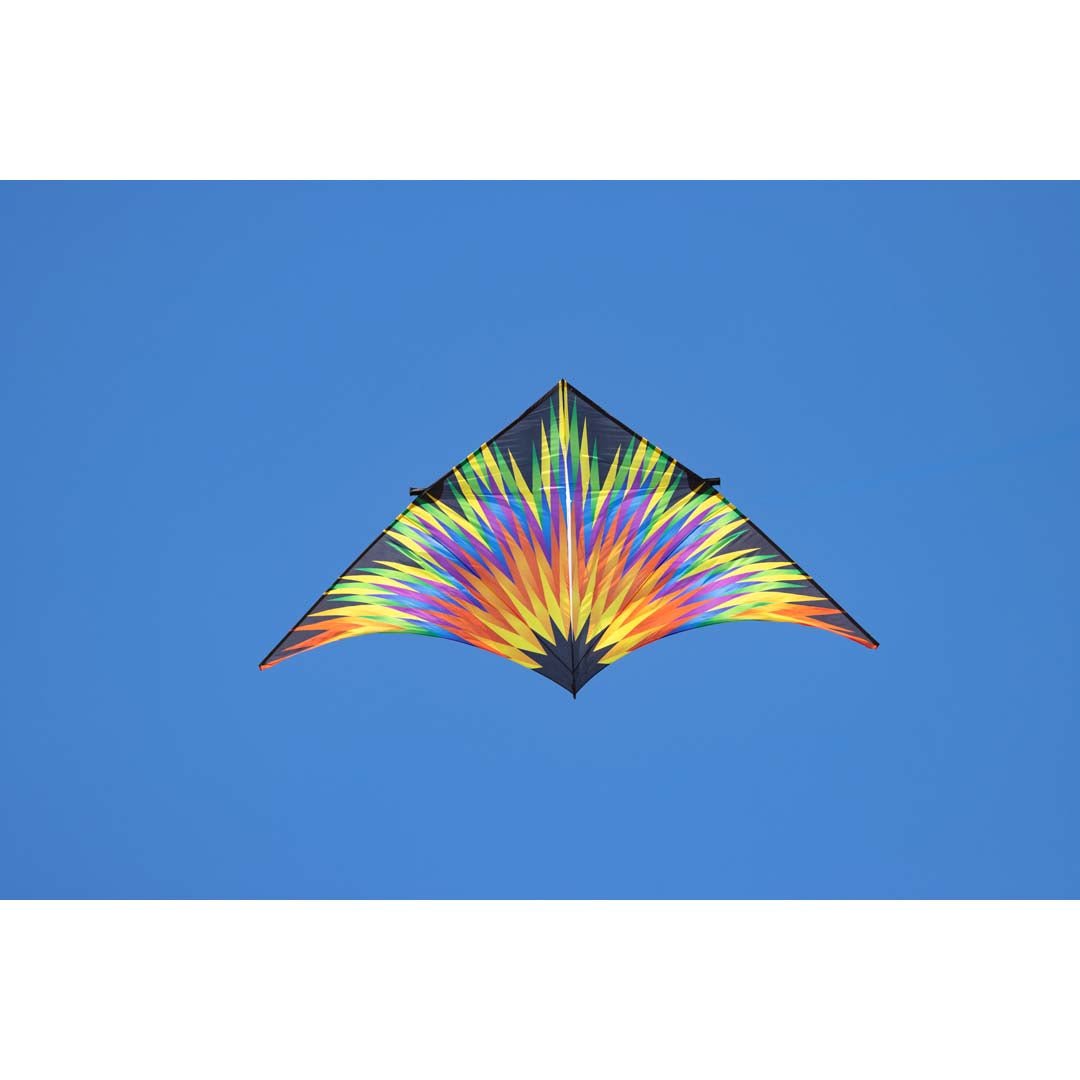 DELTA FIREWORKS 4M - Picture Pretty KitesDELTA FIREWORKS 4MSingle Line Kites;Single Line Kites/Delta Kites;Brands/HQ KitesHQ106424Picture Pretty KitesHQ10642415926497DELTA FIREWORKS 4M