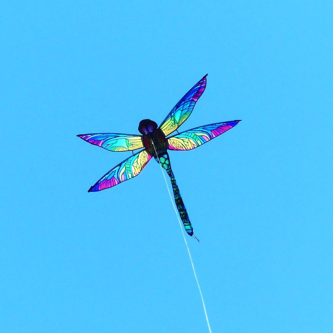 Dragonfly Rainbow Glimmer - Picture Pretty KitesDragonfly Rainbow GlimmerSingle Line Kites;Single Line Kites/Animal Kites;Single Line Kites/Animal Kites/Misc;Brands/Premier KitesPR16113 /C17Picture Pretty KitesPR16113 /C1777915873Dragonfly Rainbow Glimmer