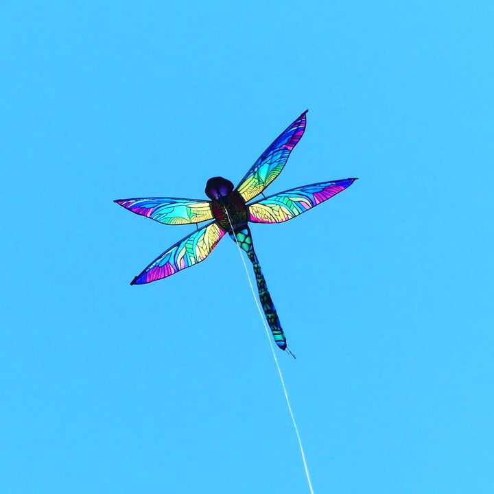 Dragonfly Rainbow Glimmer - Picture Pretty KitesDragonfly Rainbow GlimmerSingle Line Kites;Single Line Kites/Animal Kites;Single Line Kites/Animal Kites/Misc;Brands/Premier KitesPR16113 /C17Picture Pretty KitesPR16113 /C1777915873Dragonfly Rainbow Glimmer