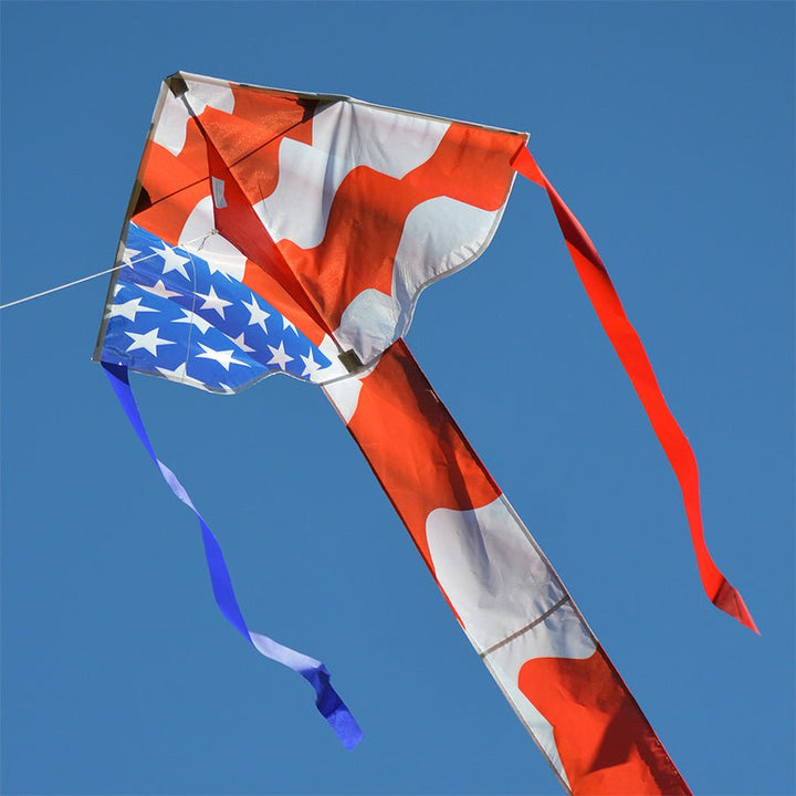 Easy Flyer Kite - Patriotic - Picture Pretty KitesEasy Flyer Kite - PatrioticSingle Line Kites;Single Line Kites/Easy Flyer Kites;Starter Kites;Brands/Premier Kites;Featured Products;Featured Products/Featured ProductsPR44007 /A47Picture Pretty KitesPR44007 /A47630104440077Easy Flyer Kite - Patriotic