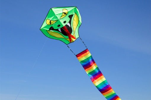 Ecoline Cobra Dragon - Picture Pretty KitesEcoline Cobra DragonBargain Bin;Brands/HQ KitesHQ10200Picture Pretty KitesHQ1020040068833Ecoline Cobra Dragon