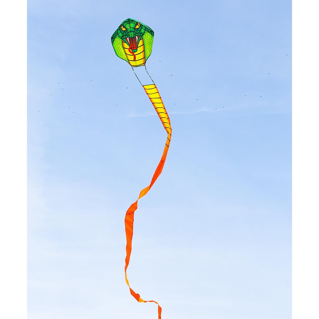 ECOLINE EMERALD COBRA DRAGON 33' - Picture Pretty KitesECOLINE EMERALD COBRA DRAGON 33'Single Line Kites;Single Line Kites/Animal Kites;Brands/HQ Kites;Featured Products;Featured Products/Featured ProductsHQ102199Picture Pretty KitesHQ10219962220001ECOLINE EMERALD COBRA DRAGON 33'