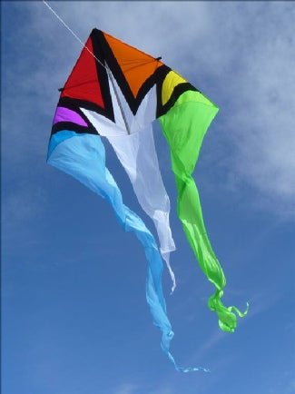 Flo Tail 13' Delta Kite - Rainbow Burst - Picture Pretty KitesFlo Tail 13' Delta Kite - Rainbow BurstSingle Line Kites;Single Line Kites/Delta Kites;Brands/Premier KitesPR33052Picture Pretty KitesPR3305284502241Flo Tail 13' Delta Kite - Rainbow Burst