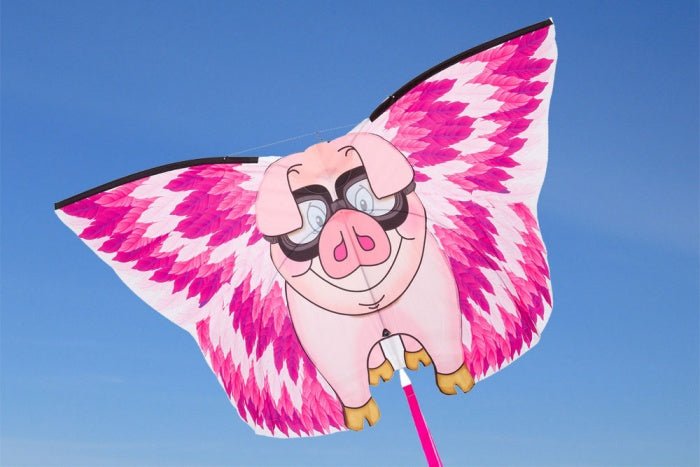Flying Floyd Pig Kite - Picture Pretty KitesFlying Floyd Pig KiteSingle Line Kites;Bargain Bin;Brands/HQ KitesHQ106519 /C35Picture Pretty KitesHQ106519 /C3561597409Flying Floyd Pig Kite