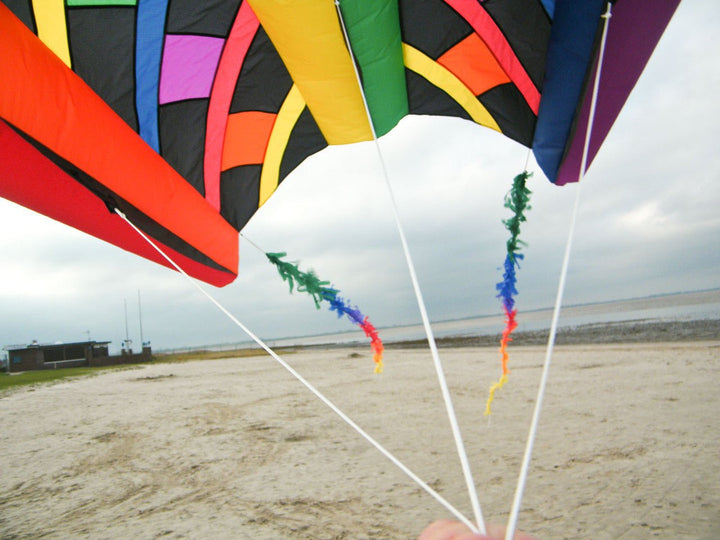 Fringe Tail - 23Ft - Picture Pretty KitesFringe Tail - 23FtKite Accessories;Kite Accessories/Kite Line Art;Brands/HQ KitesHQ126430Picture Pretty KitesHQ12643055863009Fringe Tail - 23Ft