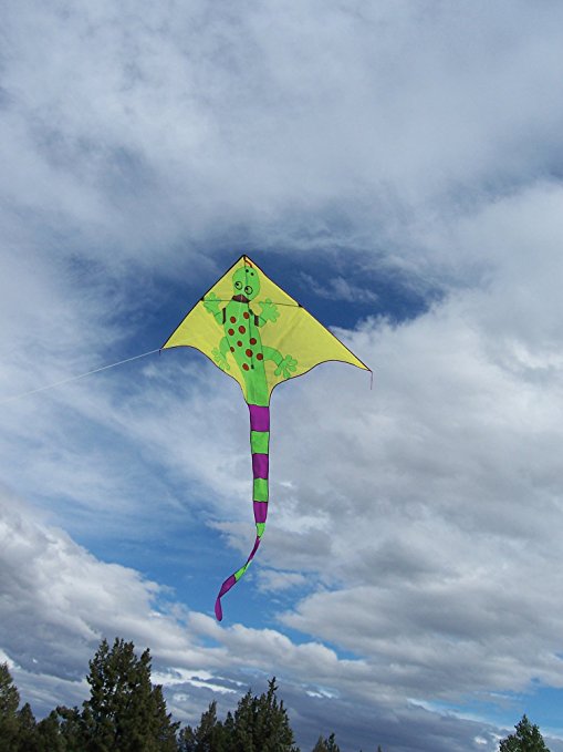 Gecko Kite - Picture Pretty KitesGecko KiteSingle Line Kites;Single Line Kites/Animal Kites;Single Line Kites/Animal Kites/Misc;Brands/In The BreezeITB3026Picture Pretty KitesITB302677653729Gecko Kite
