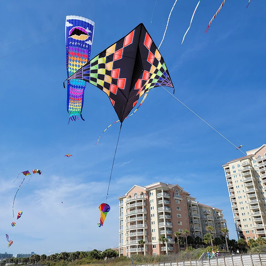 Gyro Delta with Spin Sock (Rainbow Check) - Picture Pretty KitesGyro Delta with Spin Sock (Rainbow Check)Single Line Kites;Single Line Kites/Delta Kites;Brands/Premier KitesPR33076 /A11Picture Pretty KitesPR33076 /A1190793697Gyro Delta with Spin Sock (Rainbow Check)