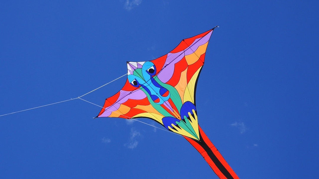 Hespeler Giant Dragon - Picture Pretty KitesHespeler Giant DragonSingle Line Kites;Single Line Kites/Specialty Kites;Brands/Premier KitesPR45917Picture Pretty KitesPR4591709143777Hespeler Giant Dragon