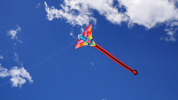 Hespeler Giant Dragon - Picture Pretty KitesHespeler Giant DragonSingle Line Kites;Single Line Kites/Specialty Kites;Brands/Premier KitesPR45917Picture Pretty KitesPR4591709143777Hespeler Giant Dragon