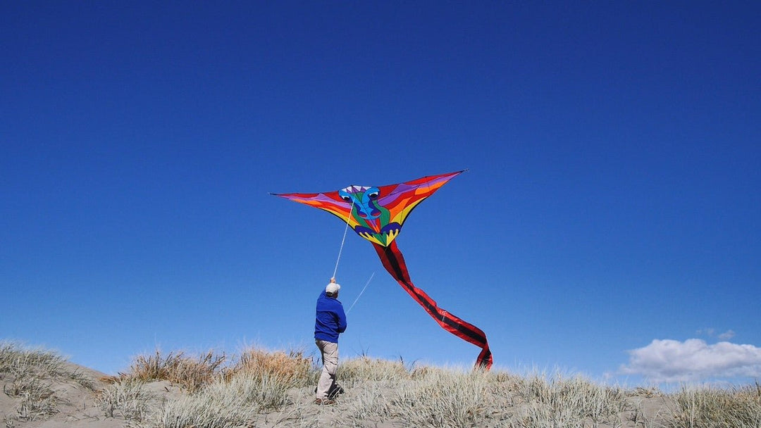 Hespeler Giant Dragon - Picture Pretty KitesHespeler Giant DragonSingle Line Kites;Single Line Kites/Specialty Kites;Brands/Premier KitesPR45917Picture Pretty KitesPR4591709143777Hespeler Giant Dragon